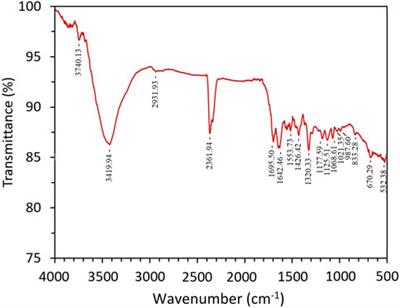 Biosynthesis of silver nanoparticles with antibacterial, antioxidant, anti-inflammatory properties and their burn wound healing efficacy